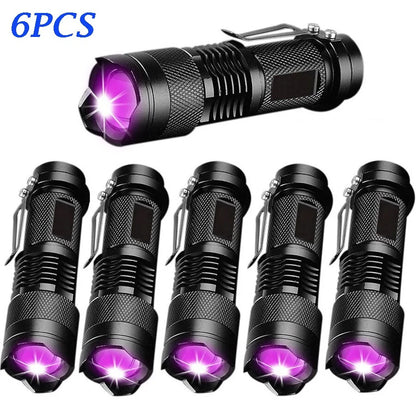 Ultra Violet LED Flashlight