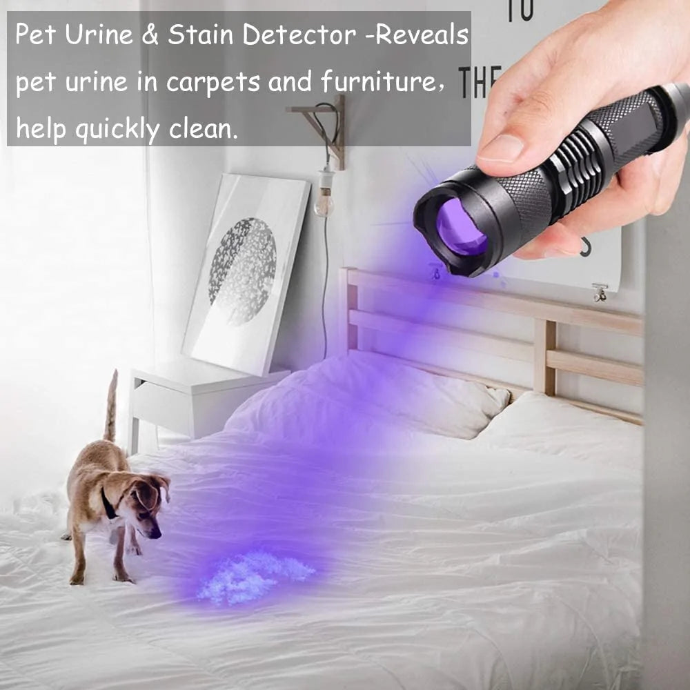 Ultra Violet LED Flashlight