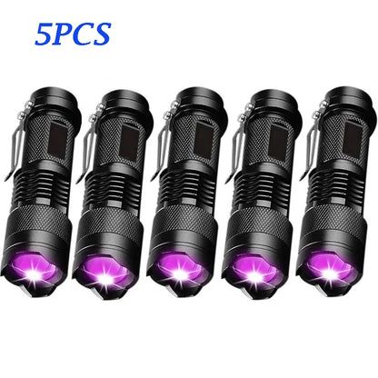 Ultra Violet LED Flashlight